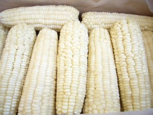 waxy corn