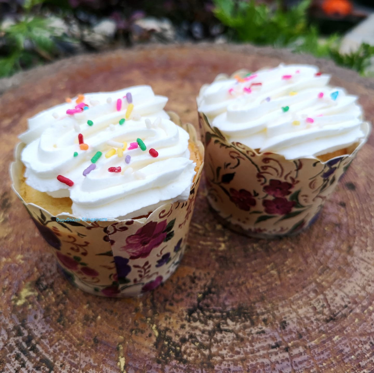 Party Confetti Rainbow Cupcakes Singapore