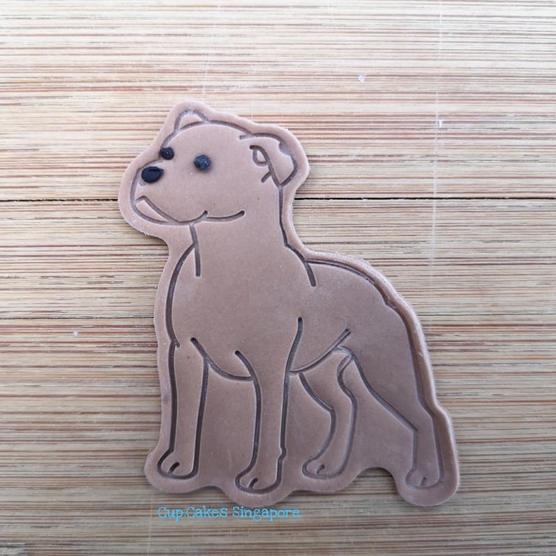 dog2