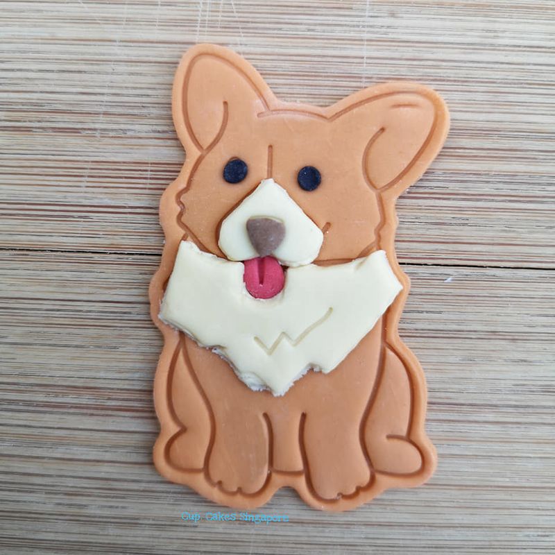 dog3