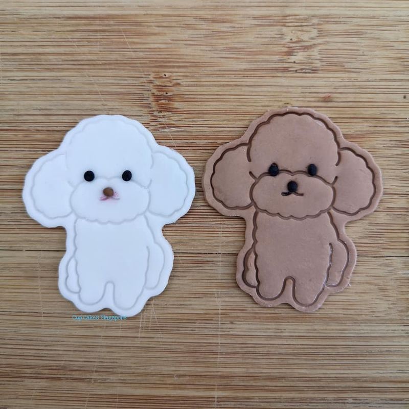 dog4