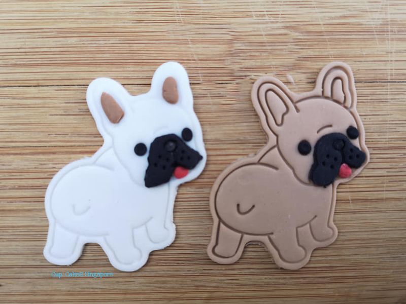 dog5