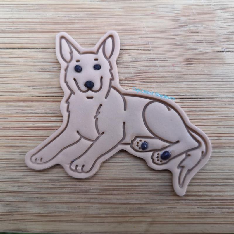 dog6