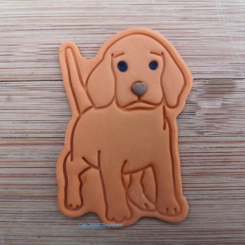 dog7