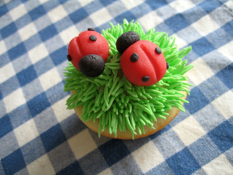 lady bug 2