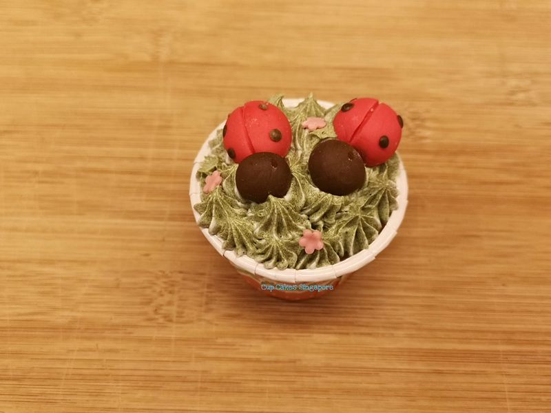 lady bug