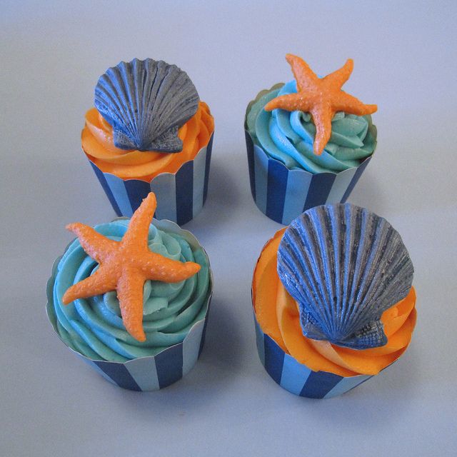 seashell
